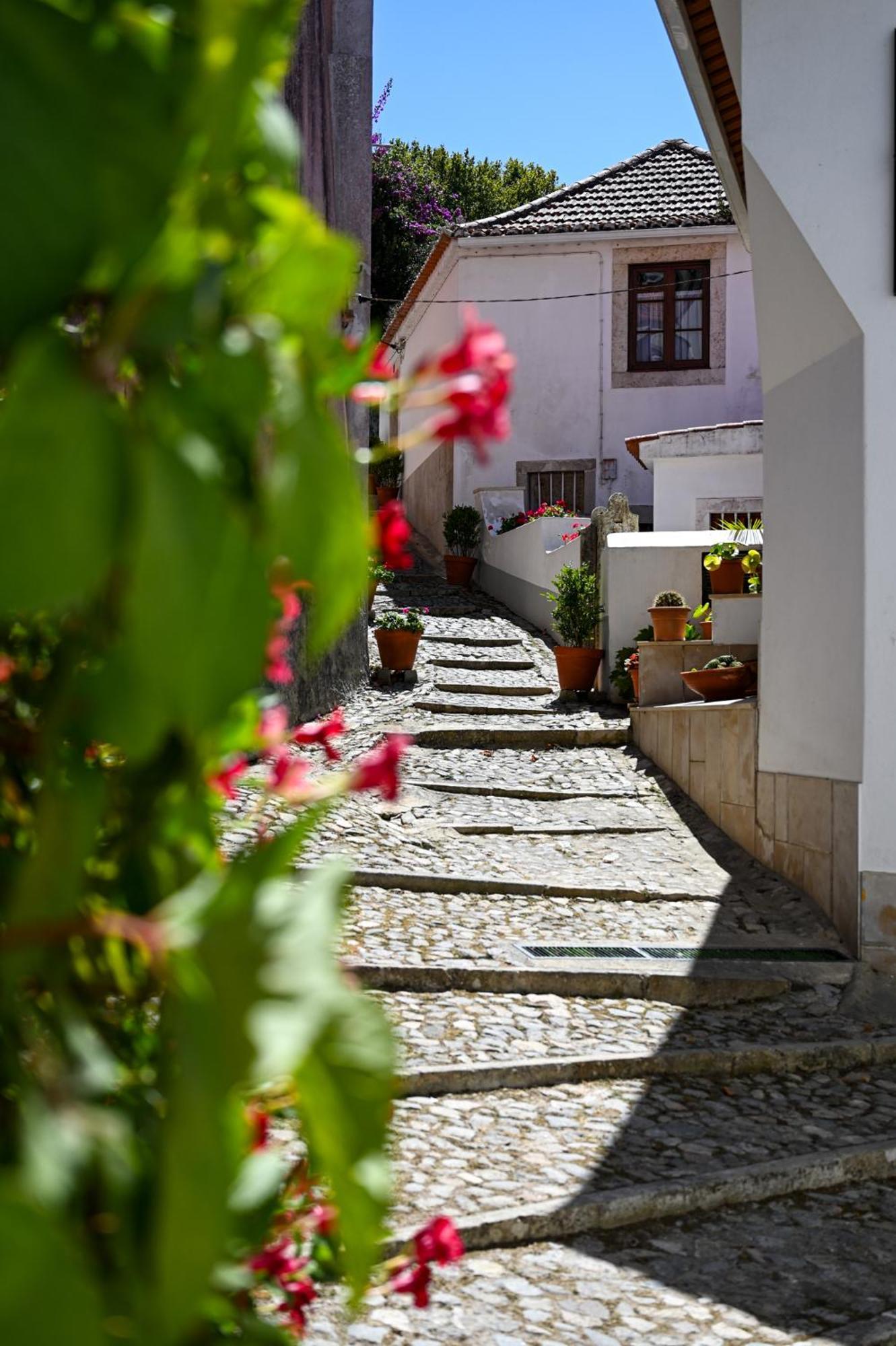 Casa Do Briamante 9 Apartment Sintra Exterior photo